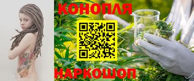 тгк Камышлов