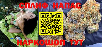 тгк Камышлов