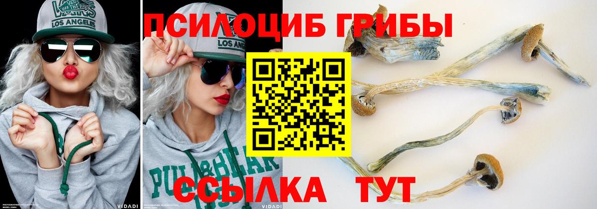 Псилоцибиновые грибы ЛСД Черкесск